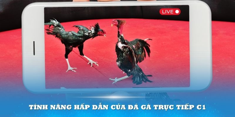 Đá gà trực tiếp C1 mang đến nhiều tiện ích vượt trội